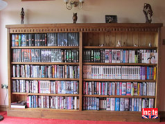 Hand Carved Gothic Pine Double Bookcase